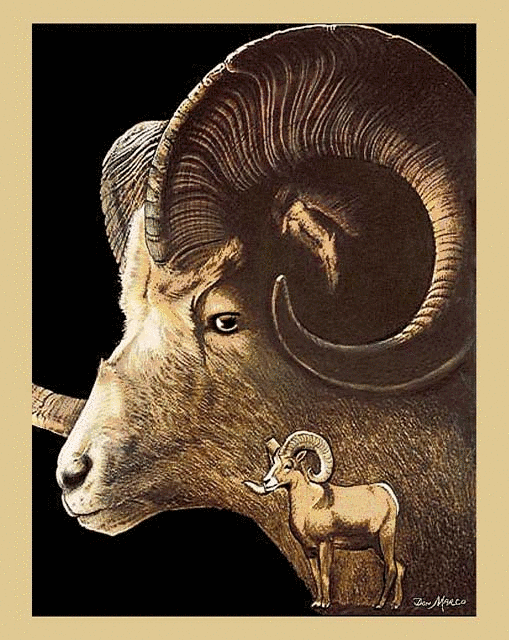 Rocky Mountain Ram Tapestry Afghan